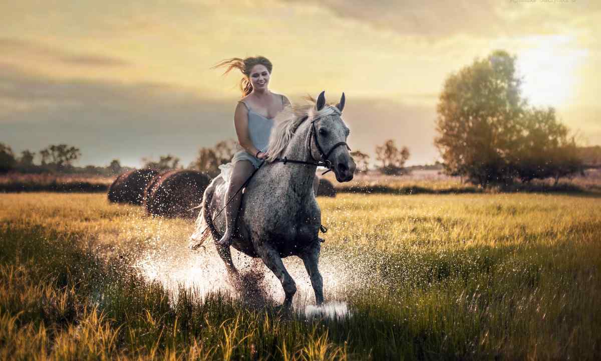 Що може означати кінь уві сні для жінки