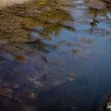 До чого сниться брудна вода